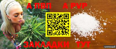 jwh Вязьма