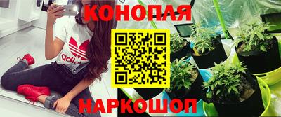 jwh Вязьма