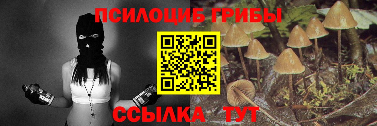 Галлюциногенные грибы прущие грибы  Вход с VPN  Галлюциногенные грибы мицелий  где купить наркоту  Вязьма 